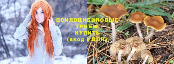 дживик Алексеевка