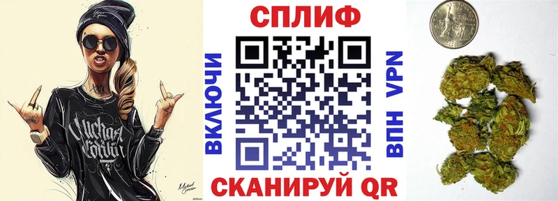 Бошки марихуана Bruce Banner  купить наркотик  Андреаполь 